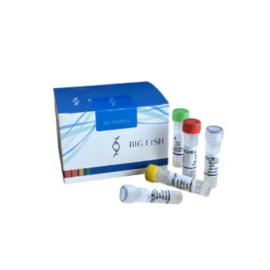 pcr kits